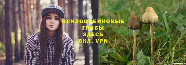 а пвп мука Арсеньев