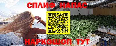 PSILOCYBIN Камышлов