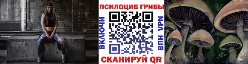 Псилоцибиновые грибы прущие грибы  хочу наркоту  Новошахтинск 