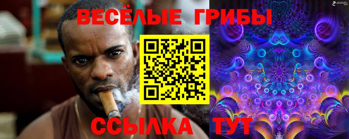 Галлюциногенные грибы MAGIC MUSHROOMS  Галлюциногенные грибы прущие грибы  Вход с VPN  Новошахтинск 