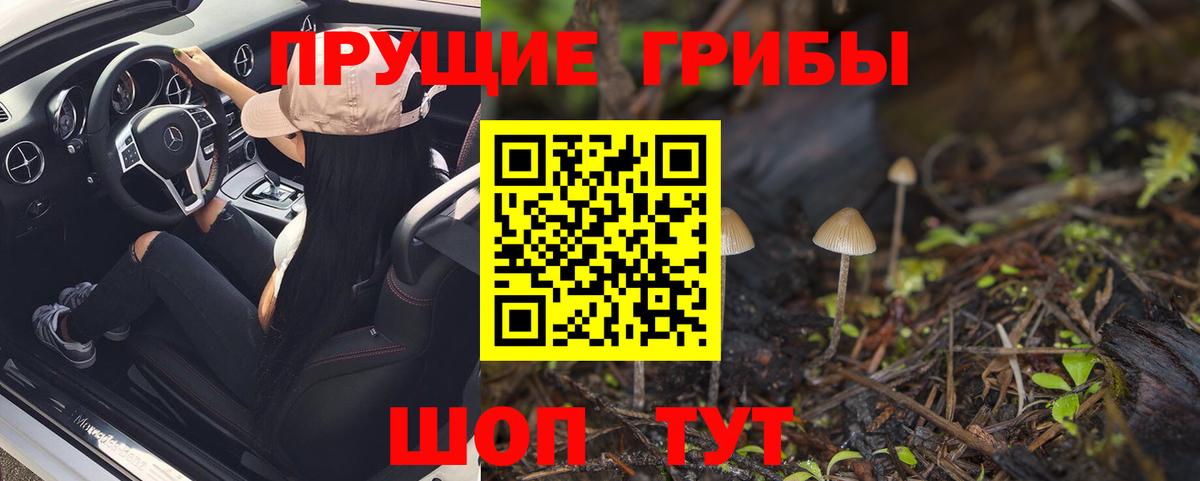 Псилоцибиновые грибы Psilocybine cubensis Новошахтинск