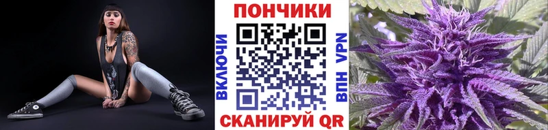 Конопля OG Kush  Новошахтинск 